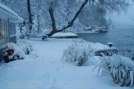 Naples Cabin | Canandaigua lake - Heron Cove Sanctuary