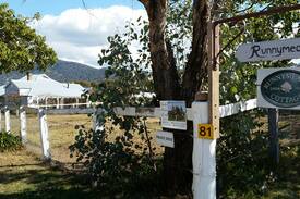 Murrurundi Other | Garden Studio Sweeping Valley Views Murrurundi
