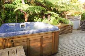 New Lynn House | Piha Retreat with spa and epic sea views!