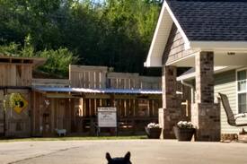 Trenton Cabin | Mountain View Cottage