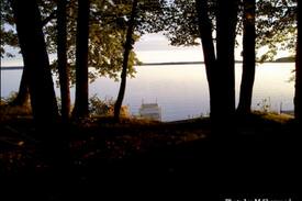 Pequot Lakes Cabin | Sherwood Oasis On Upper Whitefish Lake