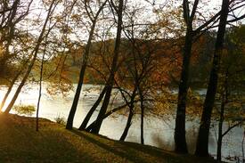 Draper Cabin | Bella Casa on the New River - Waterfront Retreat