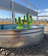 Yucca Valley House | Desert Beacon Ranch Dog Friendly Joshua Tree Fun
