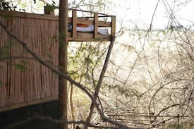 Mbombela Other | The Fig Tree House just outside Nelspruit