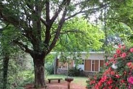 Hogsback Cabin | Diana's House, Hogsback