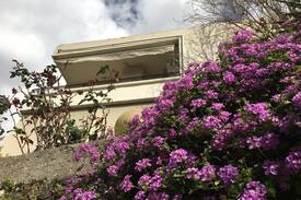 Hadath Apartment | Sunny house in Hadath