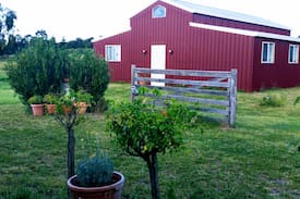 Glen Aplin Other | Jollity Farm on the Granite Belt