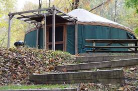 Elkins Cabin | The Yurt