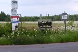 Bayfield Cabin | Cottage in Bayfield NB at Anne's Acres