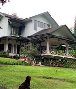 Cisarua Other | Arga Turangga Villa - Stable View