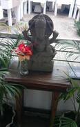 Shirdi Apartment | Premium 1BHK Service apartment in Shirdi - 1