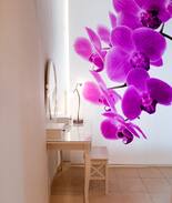 Thermi Apartment | Orchid Studio 2