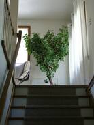 Ashland Apartment | Hummingbird Guest Loft