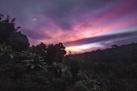 Mudumalai House | A stay amidst the wilderness of Mudumalai Forest