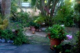 Rodney Bay House | Two Palms B&B in Rodney Bay