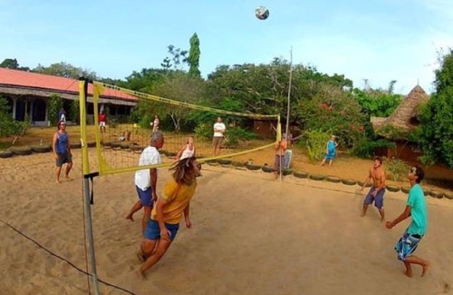 Kilifi Hotel | Distant Relatives Ecolodge & Backpackers