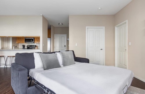 Northwest Bellevue Apartment | Bellevue | Modern 2BD/2BA Apartment