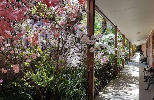Eildon House | Eildon Parkview Motor Inn. Room 9