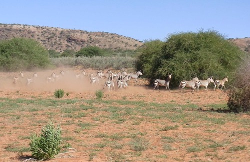 Chausib House | Rooisand Desert Ranch