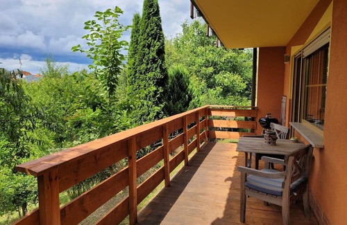 Langenschwarz Apartment | Vacation apartment/apartment for 2 guests with 50m² in Burghaun (270430)