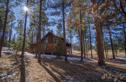 Alpine Cabin | Peaceful Majestic Mountain Cabin