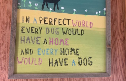 Tellico Plains House | Pets welcome! Don't leave the fur babies at home!