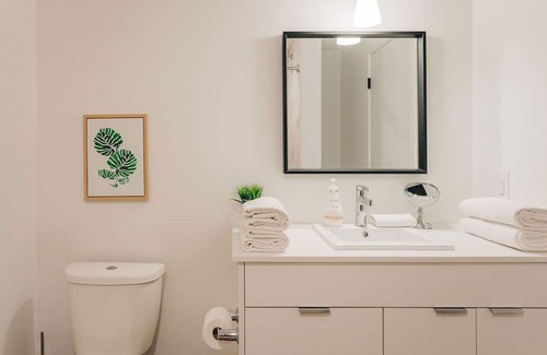 Rutland Apartment | The Waikiki Retreat | King-bed + 11 minutes from downtown! | Pet-friendly!