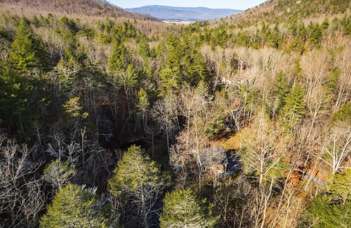 Elkton Cabin | Captivating cabin in Shenandoah