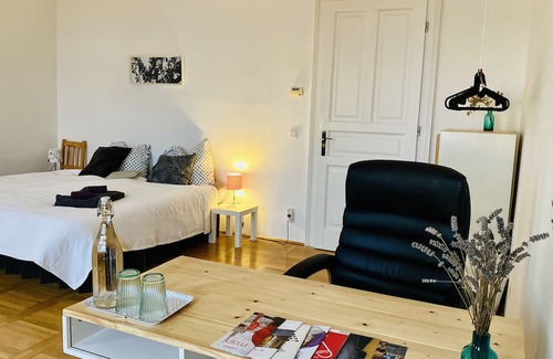 Alservorstadt Apartment | Heaven on earth - stylish old apartment in the center