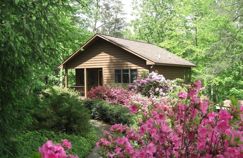 Dyke Cabin | Creek House
