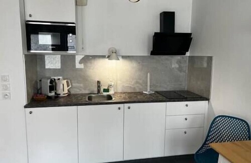 Grand Clement Apartment | Le Agatha : Accès Facile Gare/eurexpo/aéroport