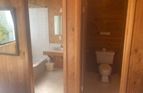 Glenwood Springs Cabin | Mountain View Room #12