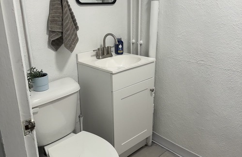 Roselawn Finance Apartment | Boho Basement Apartment walking distance to Pleasant Ridge Square & more!