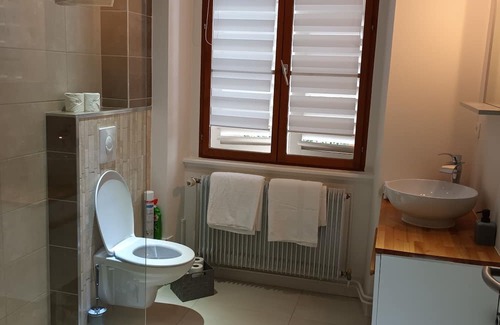 Quartier Saint-Leon Apartment | Grand Appartement au Charme Alsacien au Coeur de la Vieille Ville de Colmar