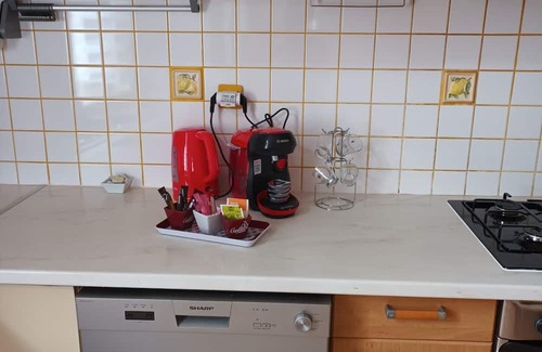 Quartier Saint-Leon Apartment | Grand Appartement au Charme Alsacien au Coeur de la Vieille Ville de Colmar