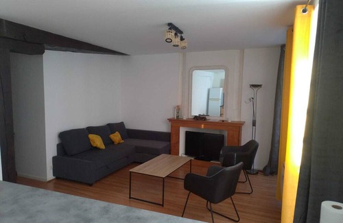 Republique Apartment | Appartement Atypique en Plein Cœur du Vieux Mans