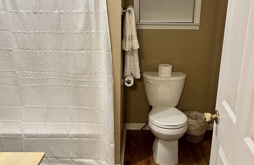 Belton Apartment | Farmhouse Studio The Tackroom-animals and a pool!