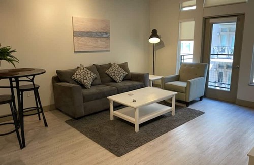 Ballpark Apartment | Furnished Executive One bedroom in the heart of Downtown Denver!