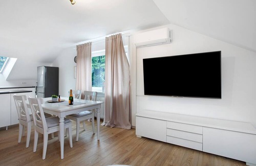 Loerrach Apartment | Apartment 'Dreiländer Apartments Lörrach' with Wi-Fi
