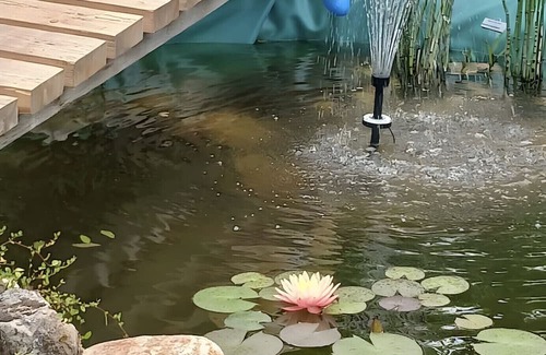 Grossenbrach Apartment | Holiday Apartment 'Anke Günther' with Private Garden and Wi-Fi