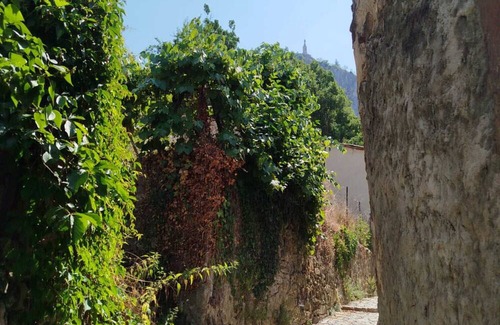Castellane Apartment | Apartment '2nd Floor' with Wi-Fi