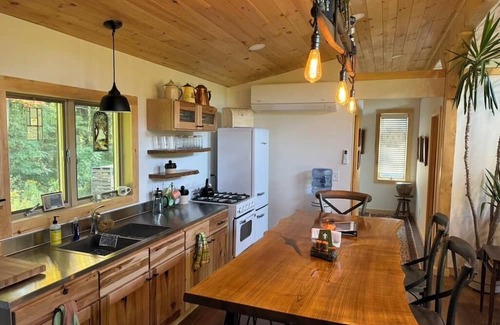 Scottsburg Cabin | Lone Birch Cabin in Dansville NY