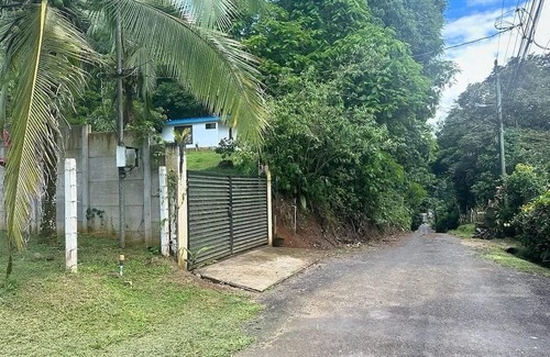 Heredia House | Jungle getaway, visit our fascinating home in the rain forest and by the river!
