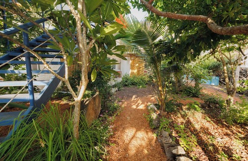 Bahia de la Academia Apartment | Darwins Ecosuite on the way to Tortuga bay - great location, quiet and natural