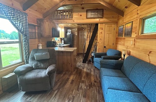 Altamont Cabin | Cozy 1 BR cabin 100 feet from the Linville River near Newland, NC. EV charger