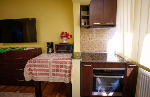 Slanic-Moldova Apartment | Se închiriază Apartamentin StatiuneaSlănic Moldova