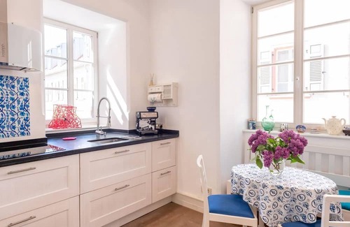 Mainz-Bingen Apartment | Apartment in the baroque house Groß-Winternheim - Holiday apartment with terrace