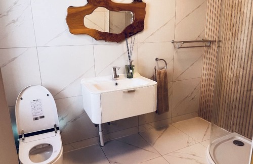 Dublin Apartment | Cosy Croke Park Studio 2, Double Bed with a kitchen and a toilet