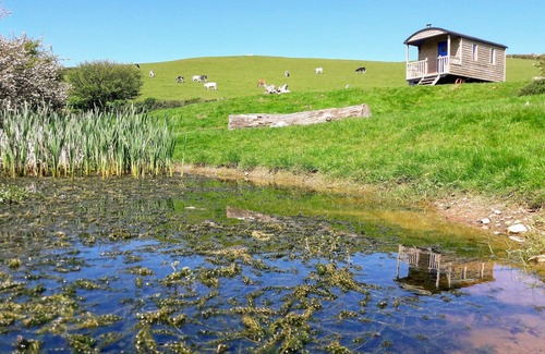 Berrynarbor House | North Devon cosy Shepherds Hut plus outdoor bath. Romantic getaway.