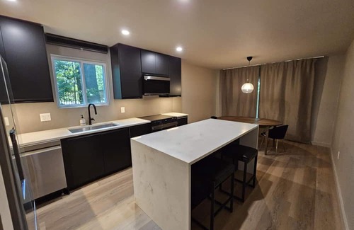 Rosewood Apartment | Modern 2 bed, 2 bath with backyard located near USC, Fort Jackson, and Prisma.